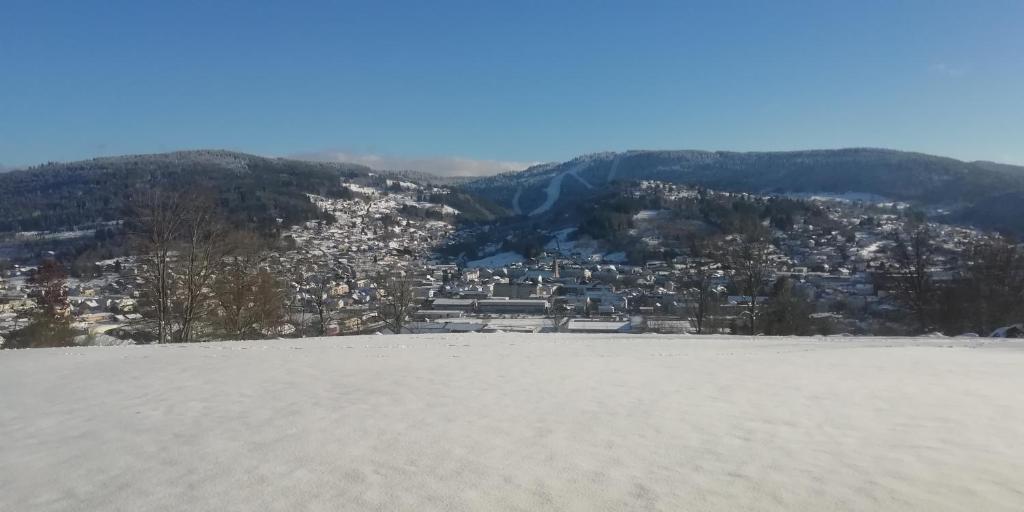 ジェラールメにあるLes Dryades L'Epicéaの雪に覆われた丘から市街の景色を望む