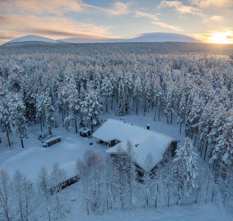 an aerial view of a forest covered in snow at Villa Vanamo in Äkäslompolo