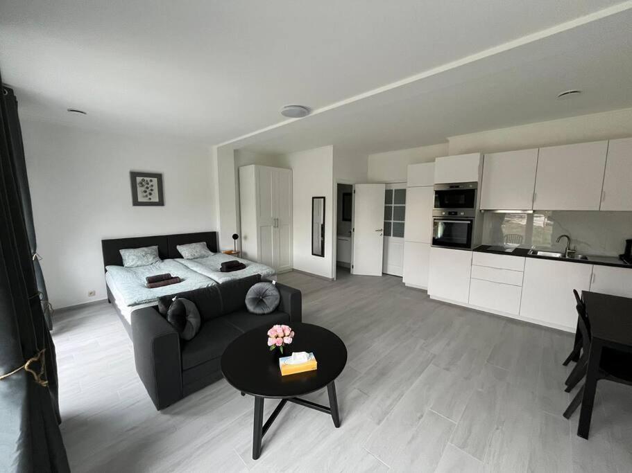 een woonkamer met een bank, een bed en een tafel bij Appartement Brussels Airport 2 in Machelen