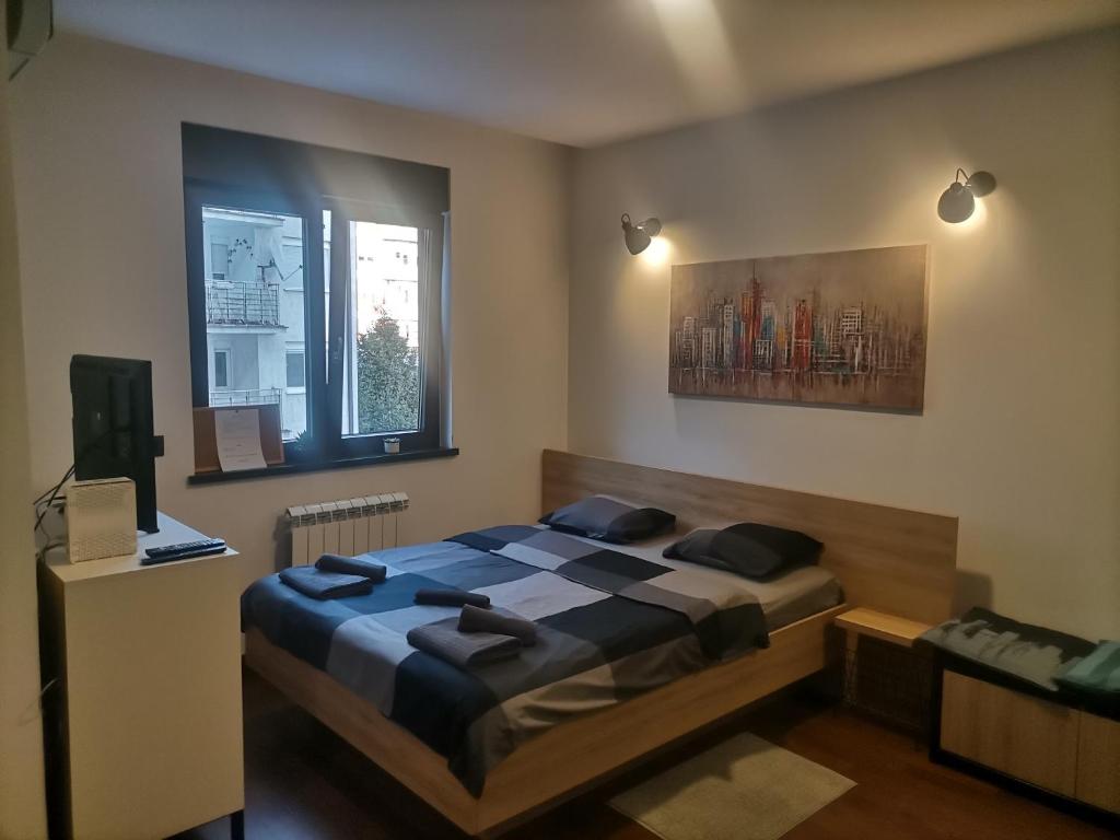 een slaapkamer met een bed en een raam bij Studio Stajić in Vračar (historical)