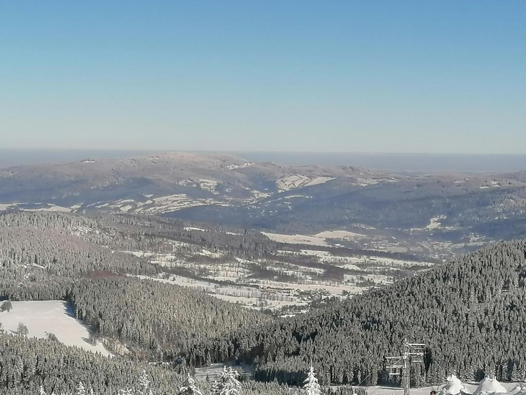 Gallery image of StronSki Apartament in Stronie Śląskie