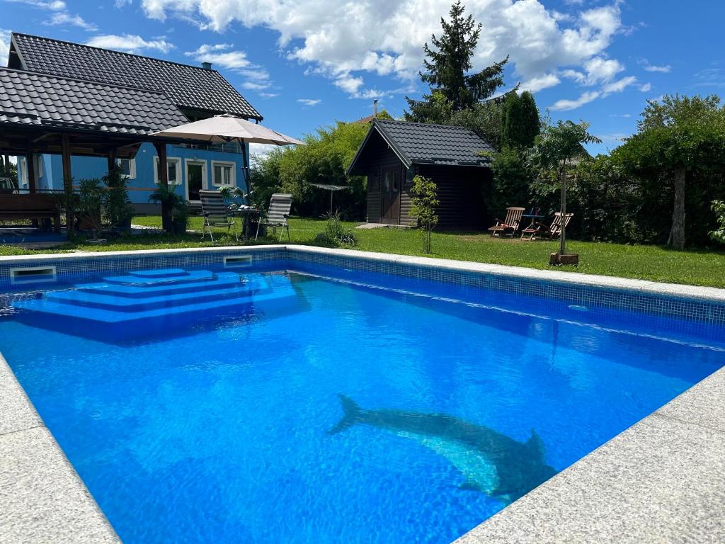 uma piscina com um tubarão na água em Villa Plavi Lav Potok em Potok