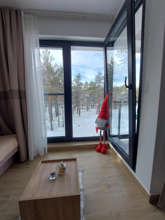 Apartman SANJALICA Divčibare talvel