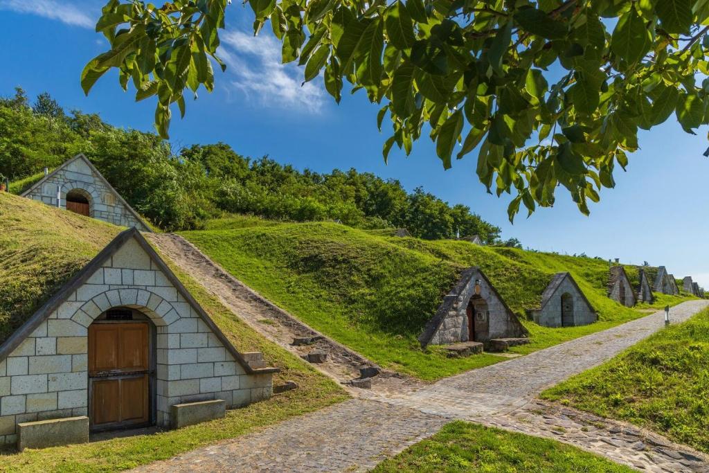 a grassy hill with three small houses with a pathway at Lavender Vendégház Kicsi falu nagy szívvel varázslatos légkörrel in Golop