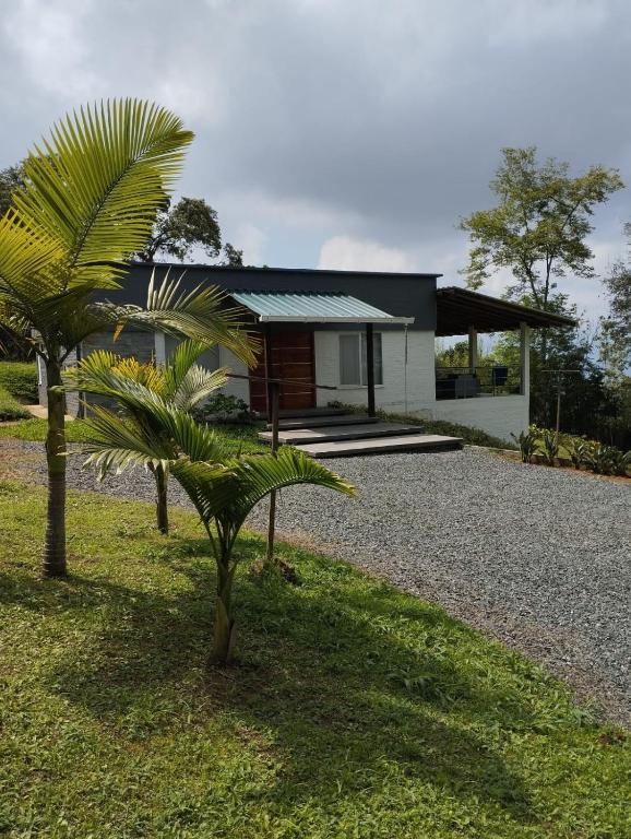 a house with a palm tree in front of it at Villa las Águilas 1 in Borrero Ayerbe