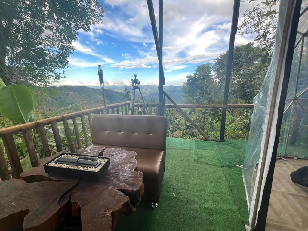Příroda nedaleko kapslového hotelu