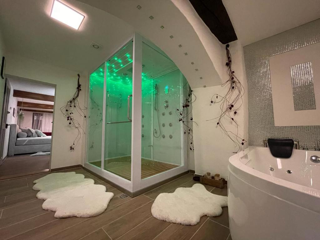a bathroom with a shower and a tub and towels at Escape Private SPA II in Bad Zurzach