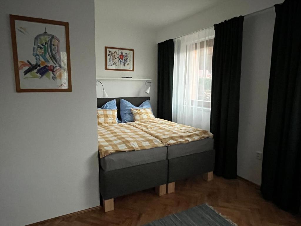 ein Schlafzimmer mit einem Bett in einem Zimmer mit einem Fenster in der Unterkunft Pod Dubem in Jeseník