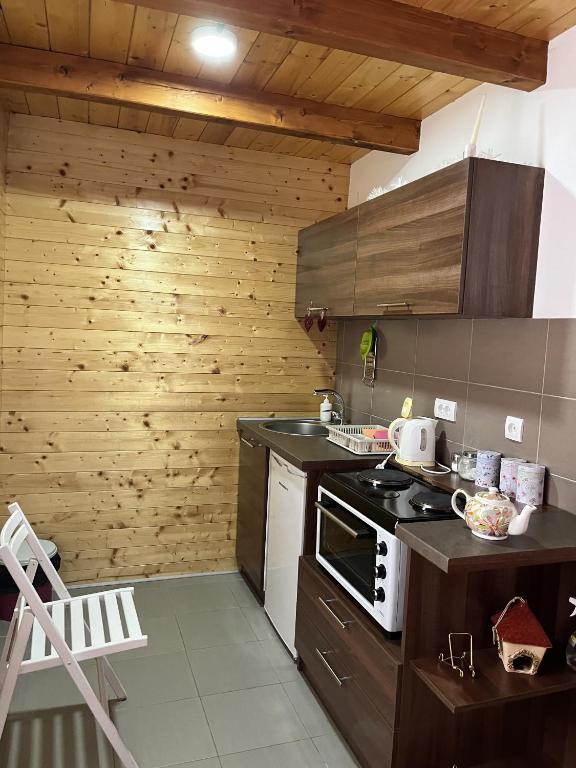 Kuhinja ili čajna kuhinja u objektu Apartmani Milekić