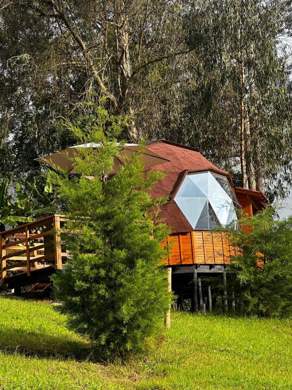 Zahrada ubytování Glamping Shalom