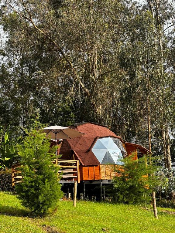 Zahrada ubytování Glamping Shalom