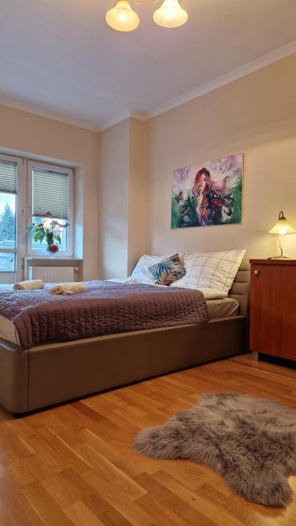 a bedroom with a bed with a cat laying on it at Apartament Gwiazda 306 in Krynica Zdrój