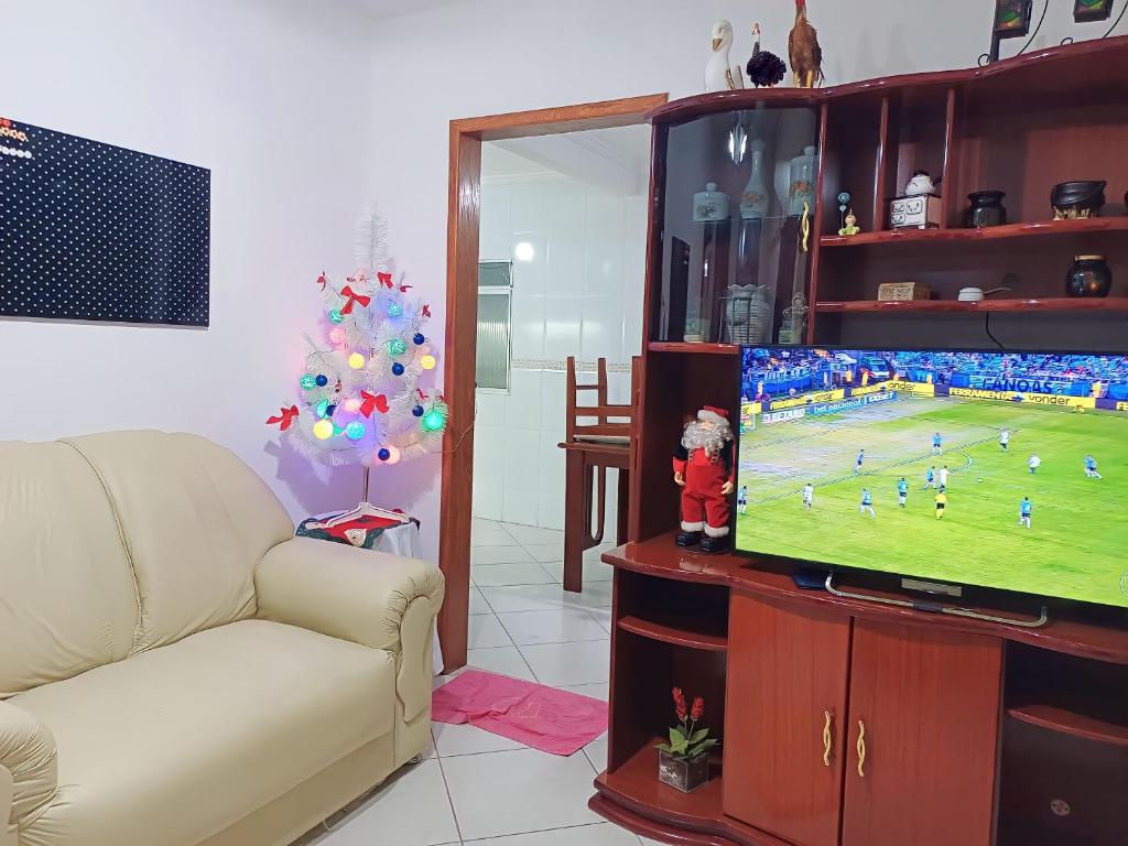 ein Wohnzimmer mit einem TV und einem Weihnachtsbaum in der Unterkunft Apartamento a 2 Minutos da Praça! in Domingos Martins