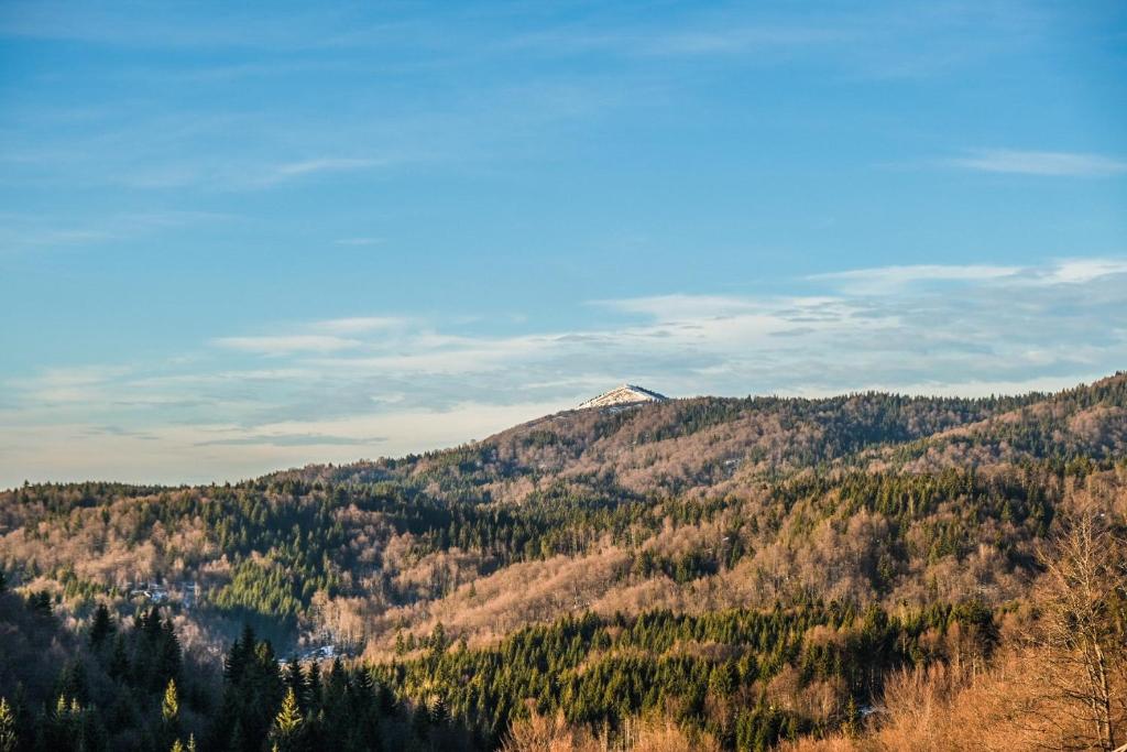 Vila Čajetinski biser fotografija 21