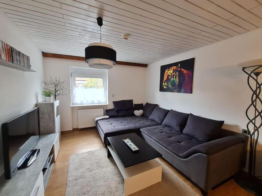 - un salon avec un canapé et une télévision dans l'établissement 4-Zimmer Wohnung in Mannheim, à Mannheim
