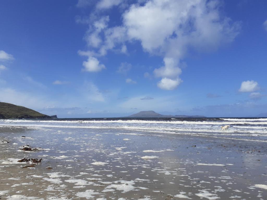 a sandy beach with waves in the ocean at Country Cabin in Mullagh