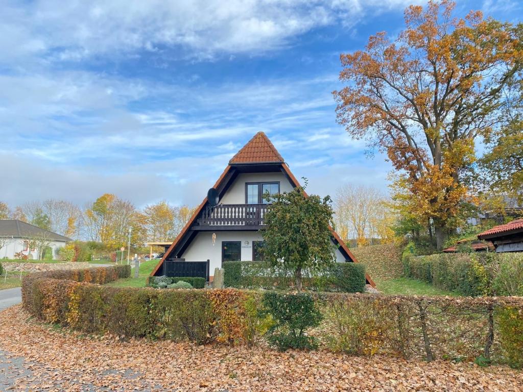 a house with a thatched roof at Finnhäuser am Vogelpark - Haus Andrea in Marlow