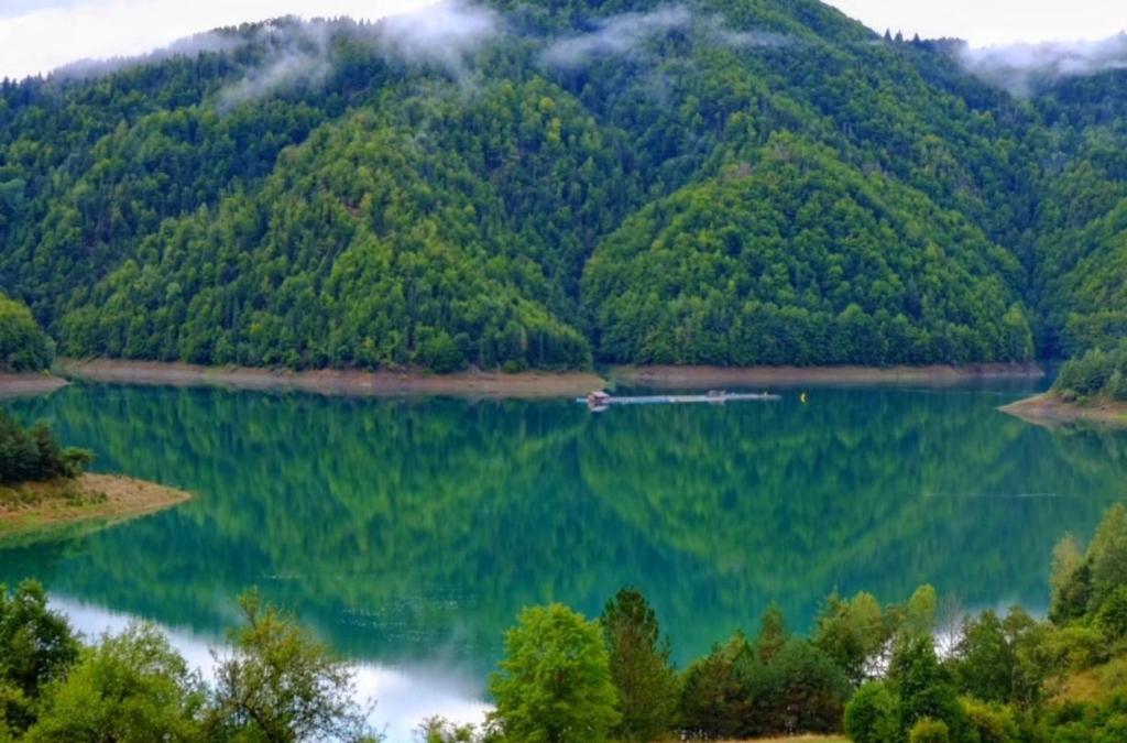 Imagen de la galería de Tara Land Lake, en Zaovine