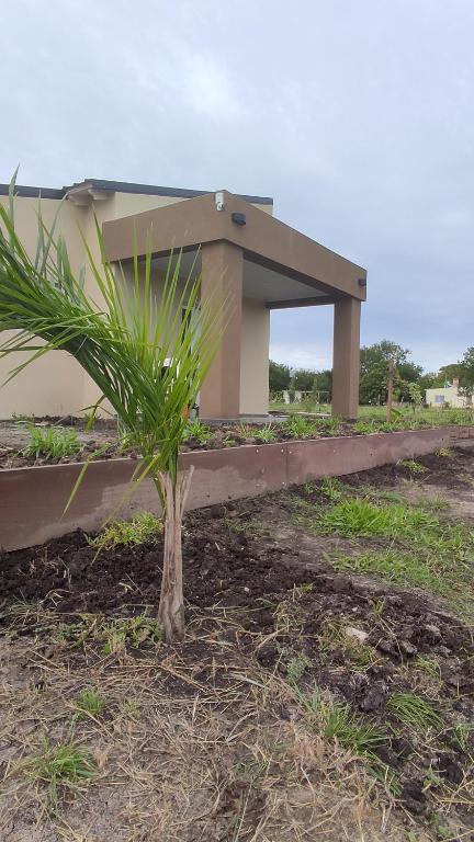 een kleine palmboom voor een gebouw bij Alamos David in Villaguay