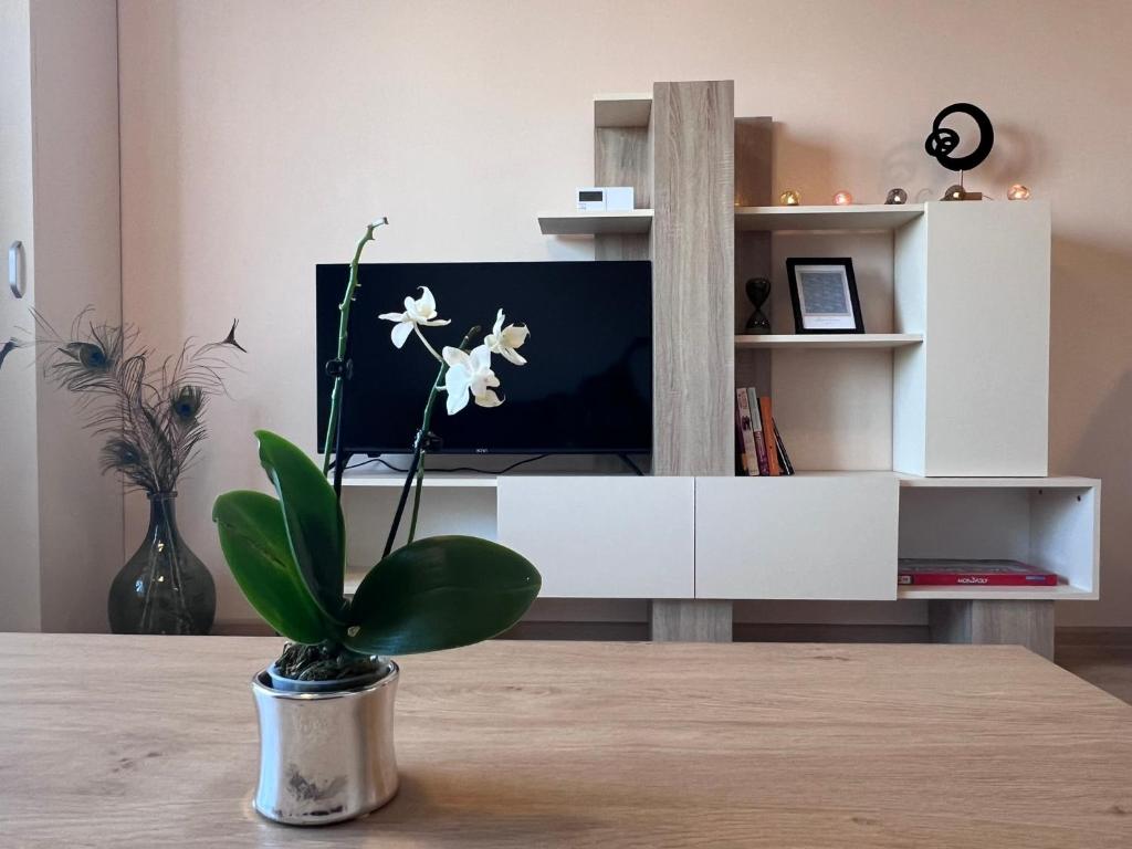 a living room with a tv and a vase with a plant at Cappuccino apartment in Sofia