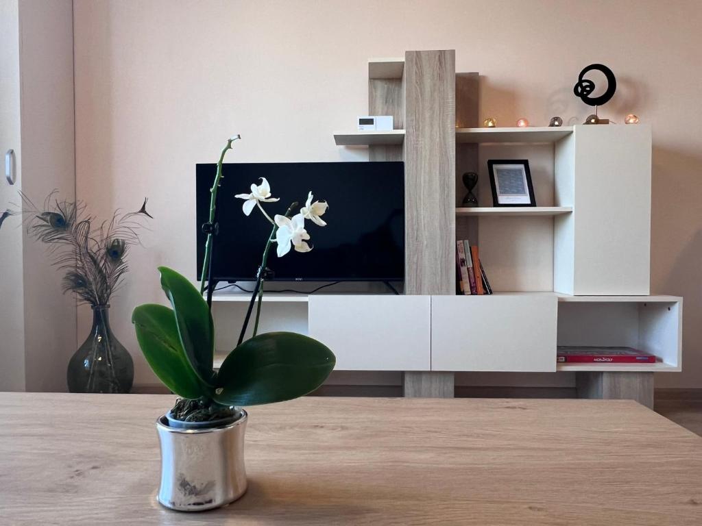 Cappuccino apartment