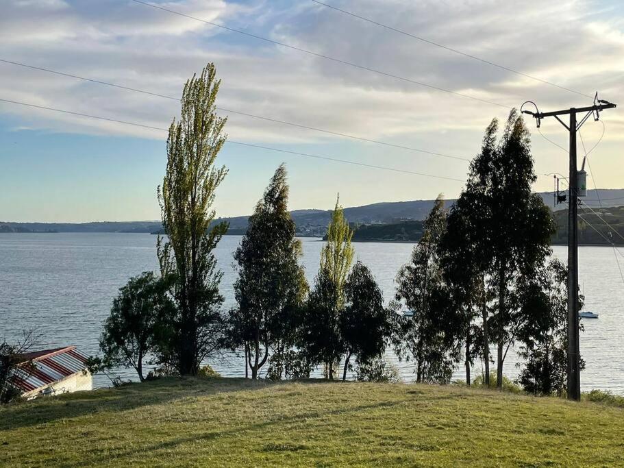 un groupe d'arbres à côté d'une masse d'eau dans l'établissement Hermosa cabaña a pasos de la playa, à Castro