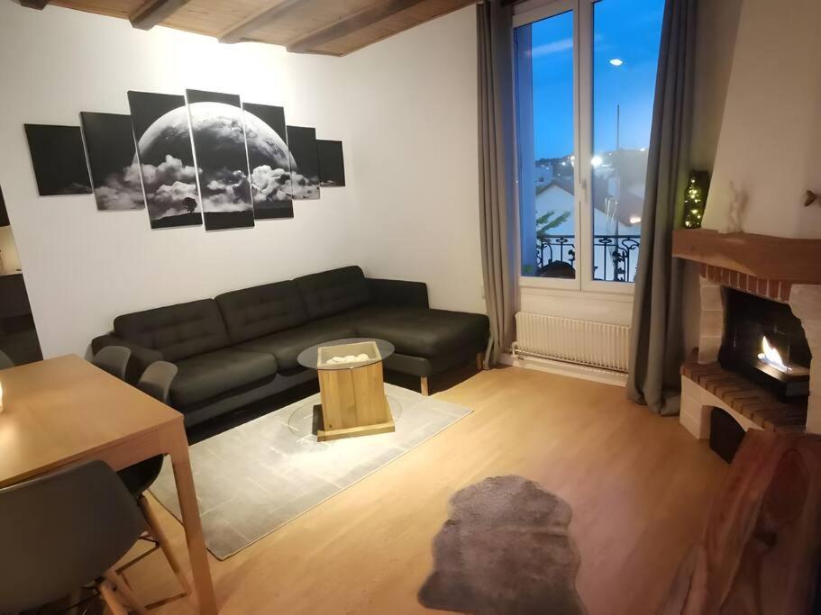 uma sala de estar com um sofá e uma lareira em appartement confortable em Cachan