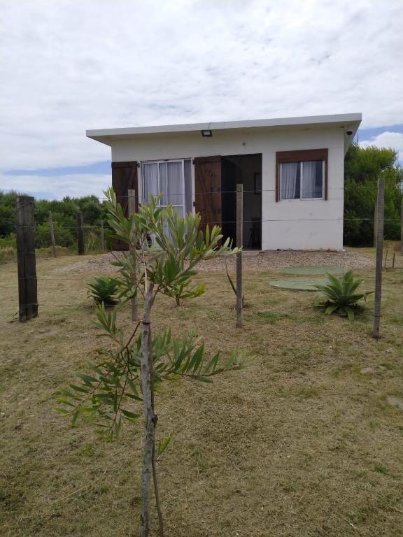 a small house with a tree in front of it at Brisa de Mar. in La Pedrera