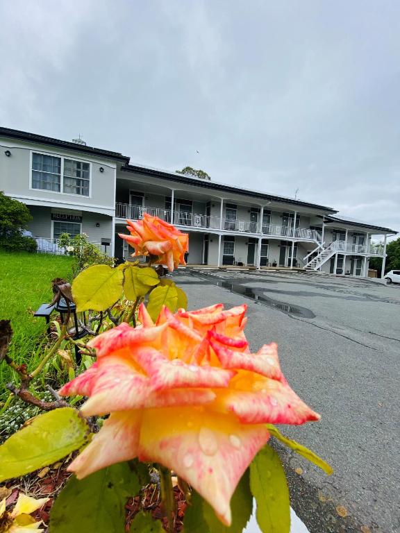 Colonial Lodge Motor Inn, Yass (updated prices 2024)