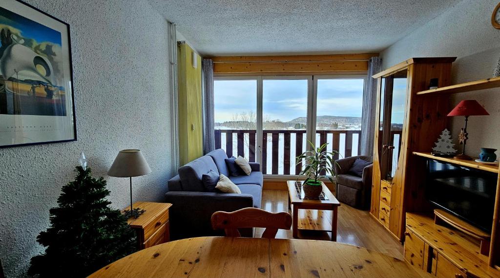 雷魯斯的住宿－Appartement Les rousses, Jura，带沙发和圣诞树的客厅