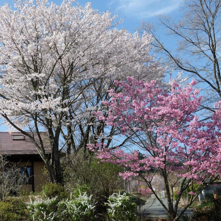 Κήπος έξω από το Garden Villa Minamiaso