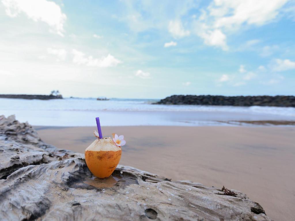 a coconut with a straw sitting on a beach at Sea View Villa in Hikkaduwa