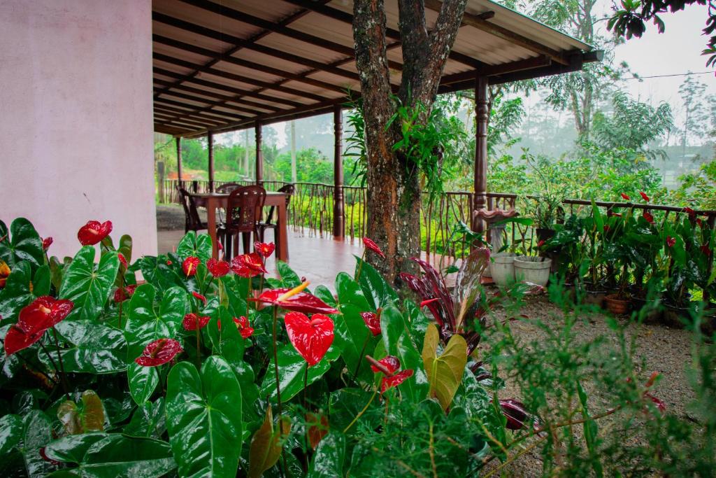 einen Garten mit roten Blumen und einem Pavillon in der Unterkunft Nine Arch Homestay in Ella