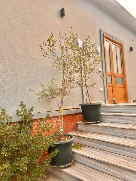 RENT ROOM -RENI -