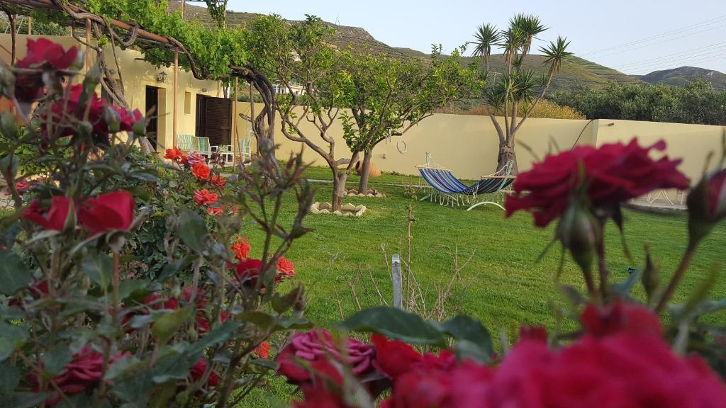 a garden with flowers and a yard with a house at Wester Sun new apartment near Balos & Falassarna in Kissamos
