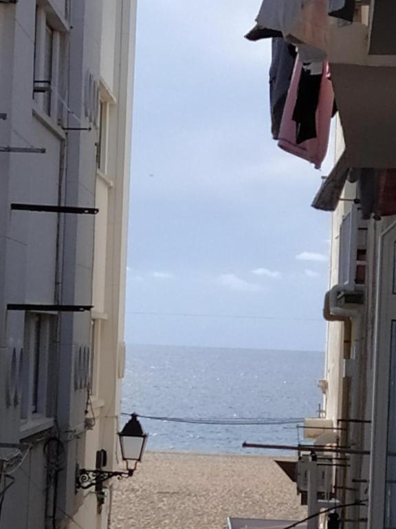 Ferhouse Dreams - 16