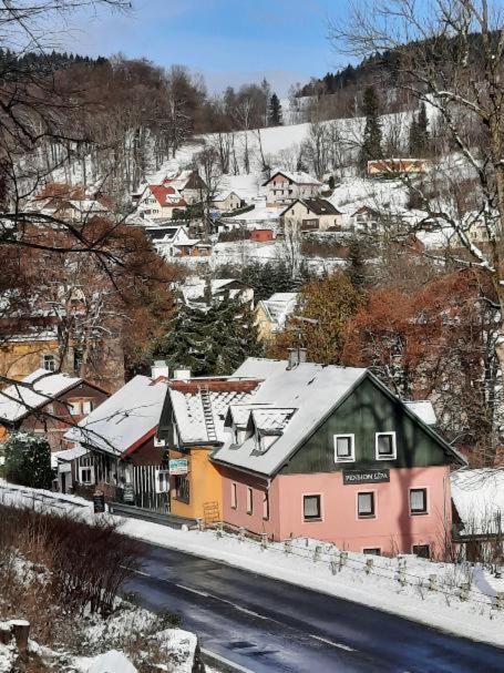 Pension Lípa - отзывы и видео