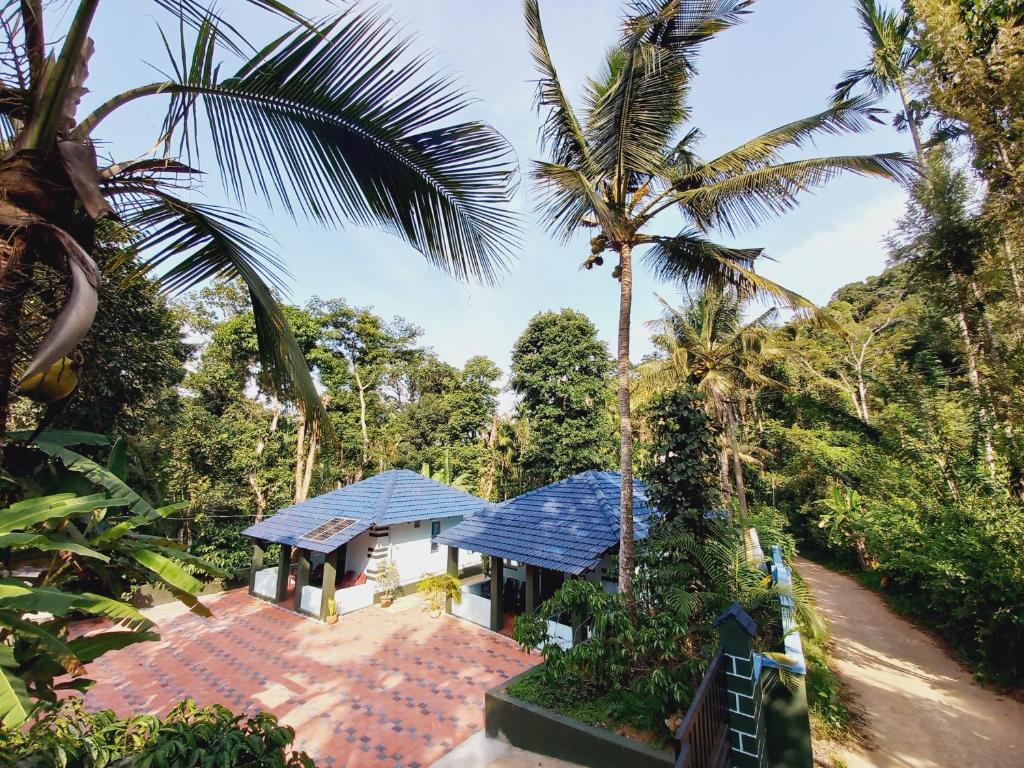 a house with a blue roof and palm trees at Sri Sai Nature Stay in Madikeri