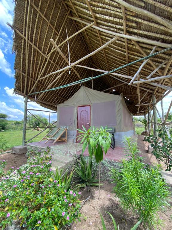 a tent with a large roof in a field at Eco Mara Tented Camp in Ololaimutiek