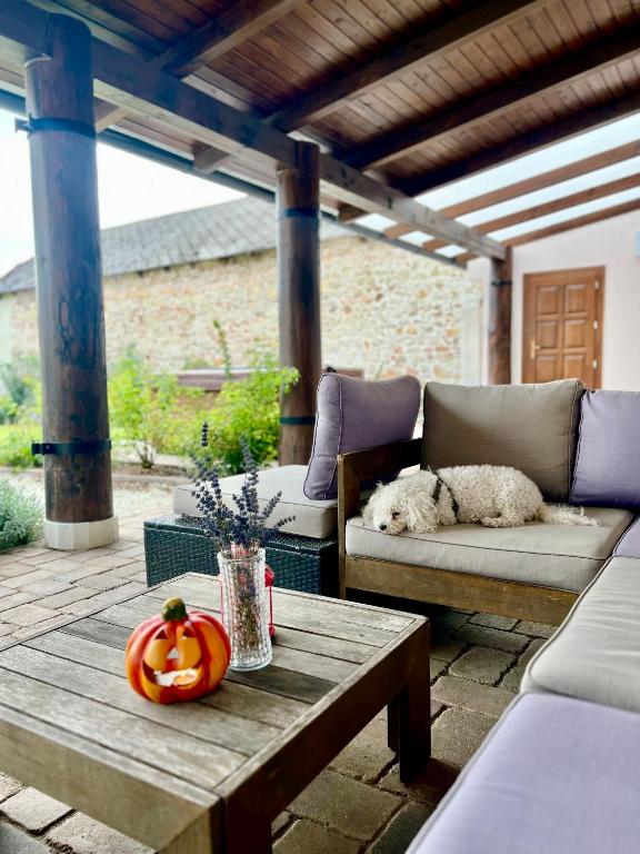 Część wypoczynkowa w obiekcie Kiss-Henézi Guest House Mád Tokaj