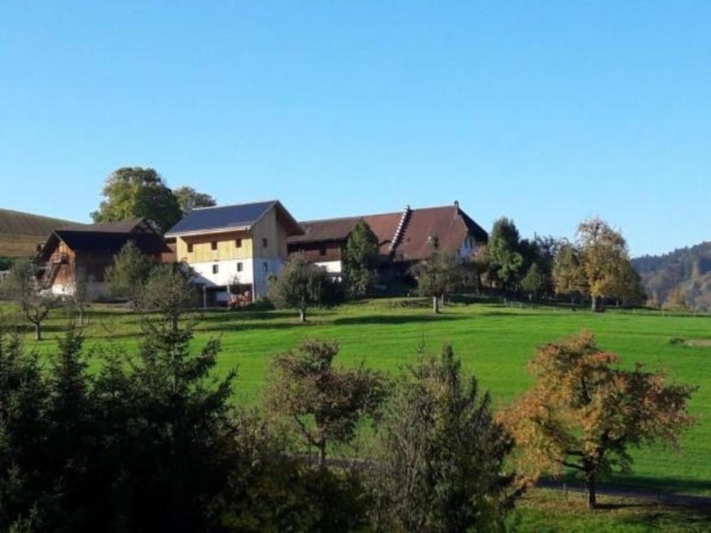 a house in the middle of a green field at Bauernhof Bättwil - b48307 in Burgdorf