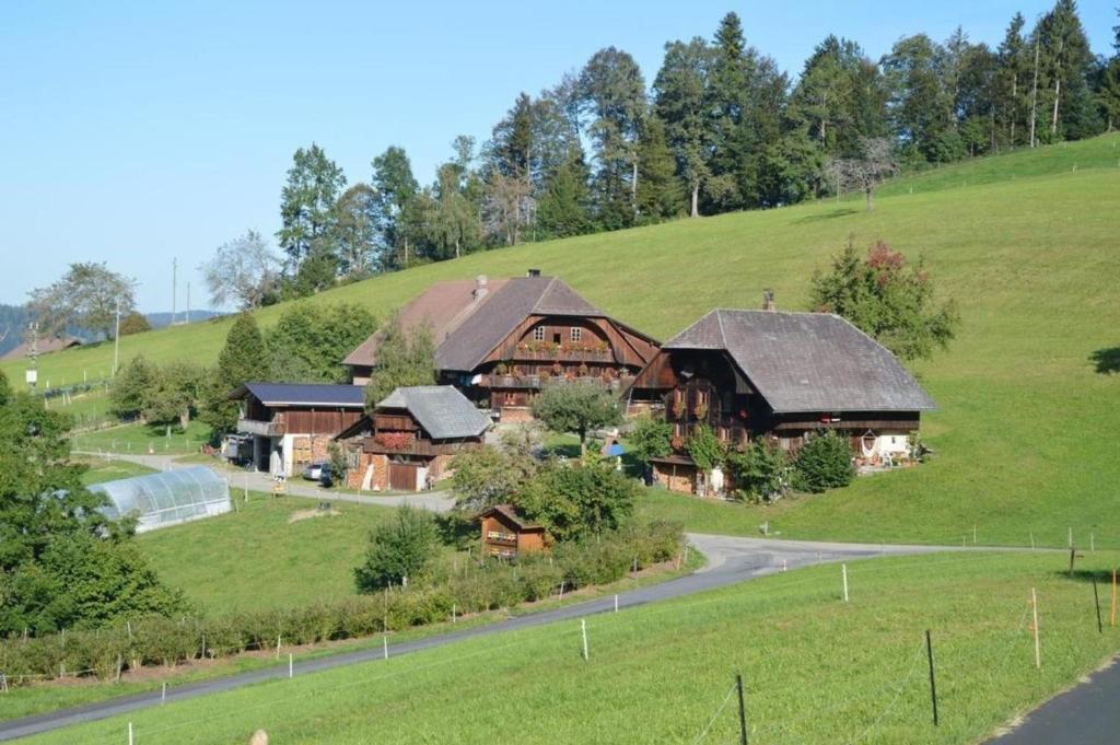 - une vue sur une maison située sur une colline dans l'établissement Bauernhof Gerber - b48308, à Signau