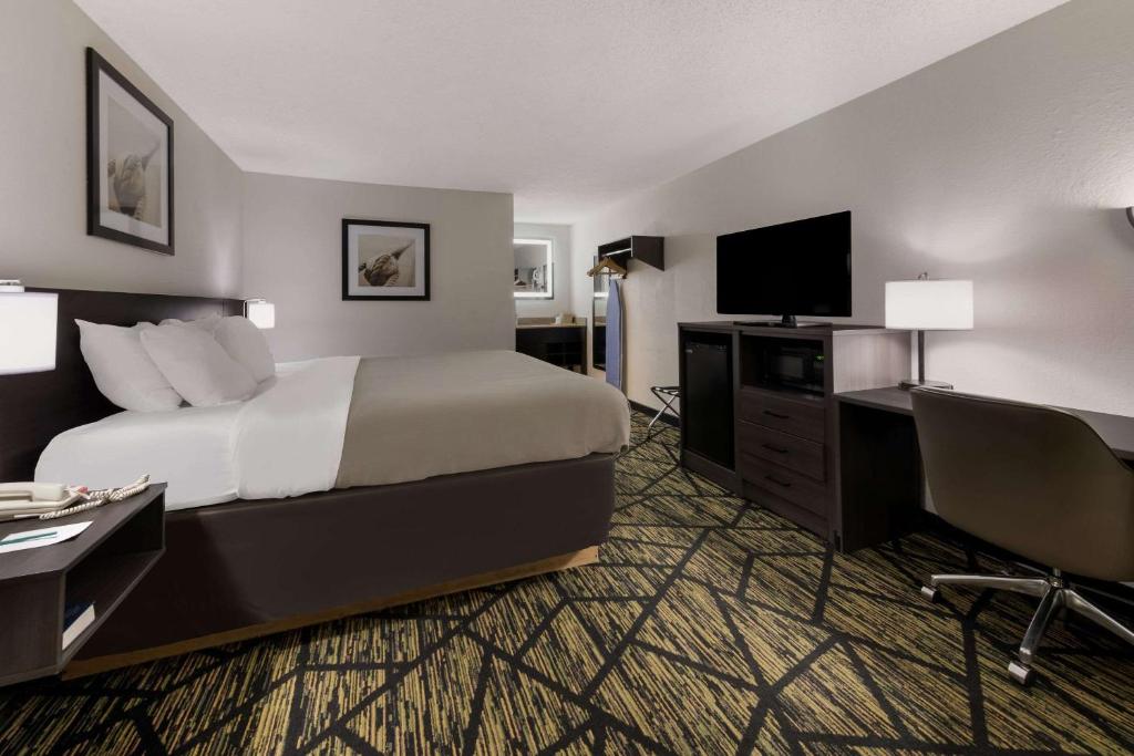 Quality Inn Orange Park Jacksonville - King Room - Non-Smoking