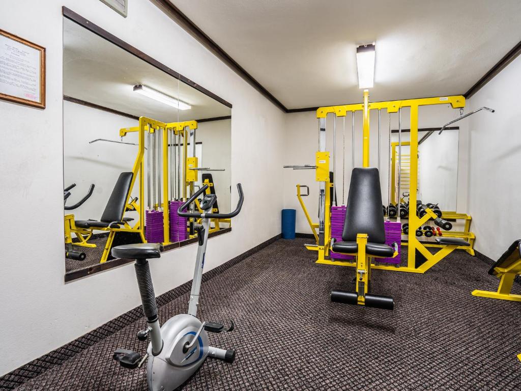 Fitness centrum a/nebo fitness zařízení v ubytování EA Hotel Lipno
