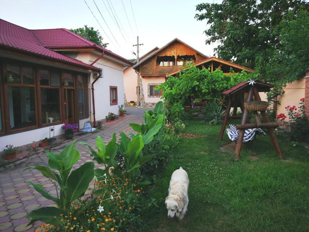 a white dog standing in the yard of a house at Vila Speranta in Pleşcoi