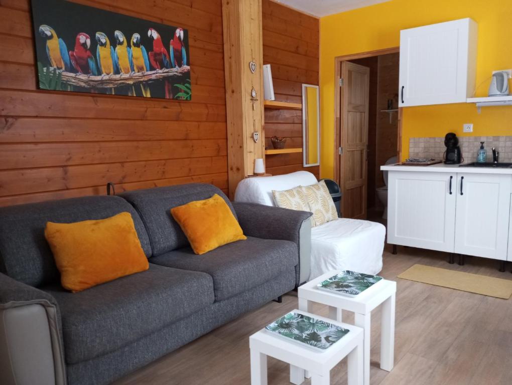 Kuchyň nebo kuchyňský kout v ubytování Gîte du Chalet - Le studio en pleine nature