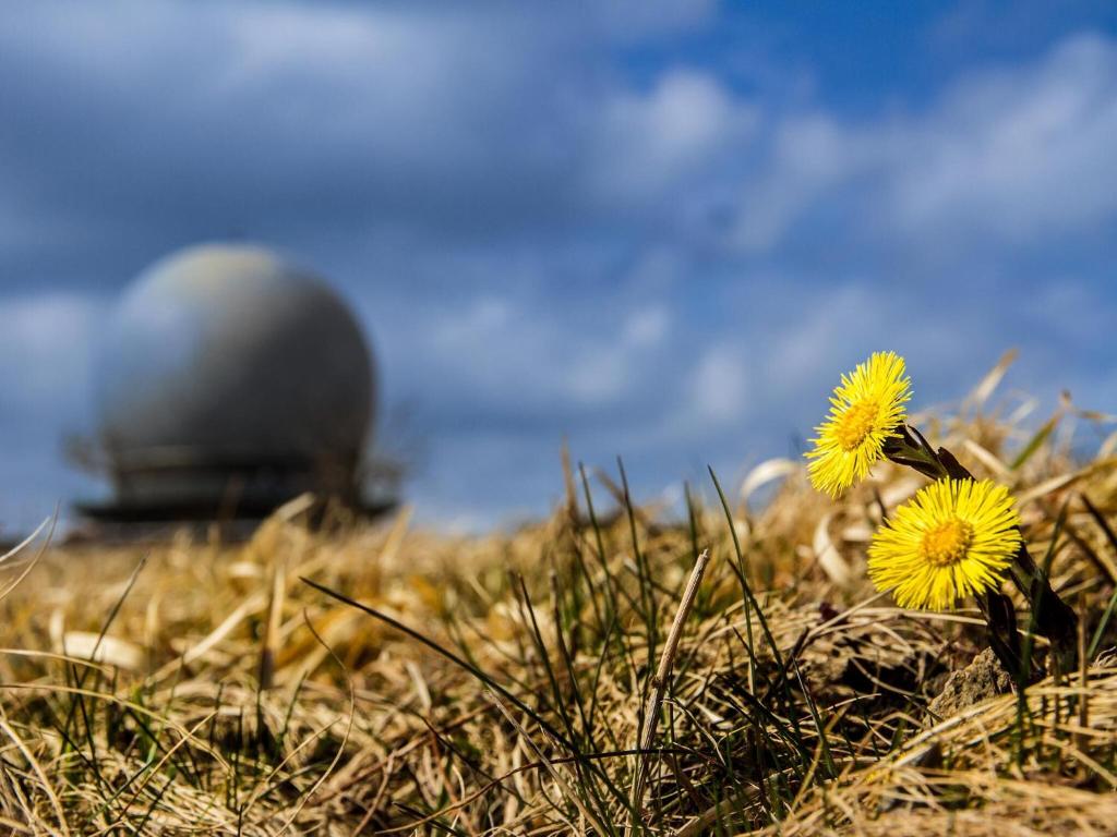Fotografie z fotogalerie ubytování Peterchens Mondfahrt - Wasserkuppe v destinaci Gersfeld