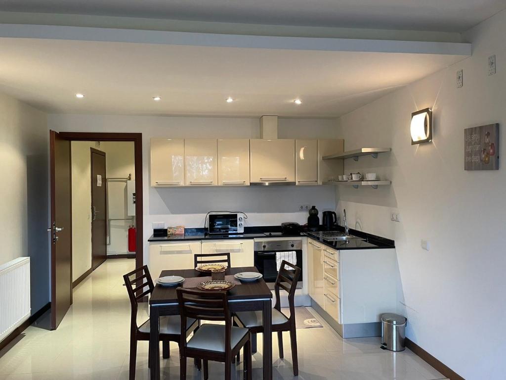 Kuchyň nebo kuchyňský kout v ubytování Terra SP apartments-Razlog