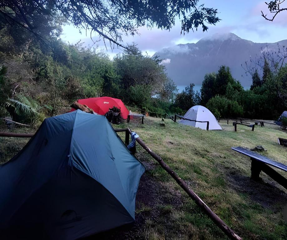 a group of tents in a field with a bench at X CampGround in Bukittinggi