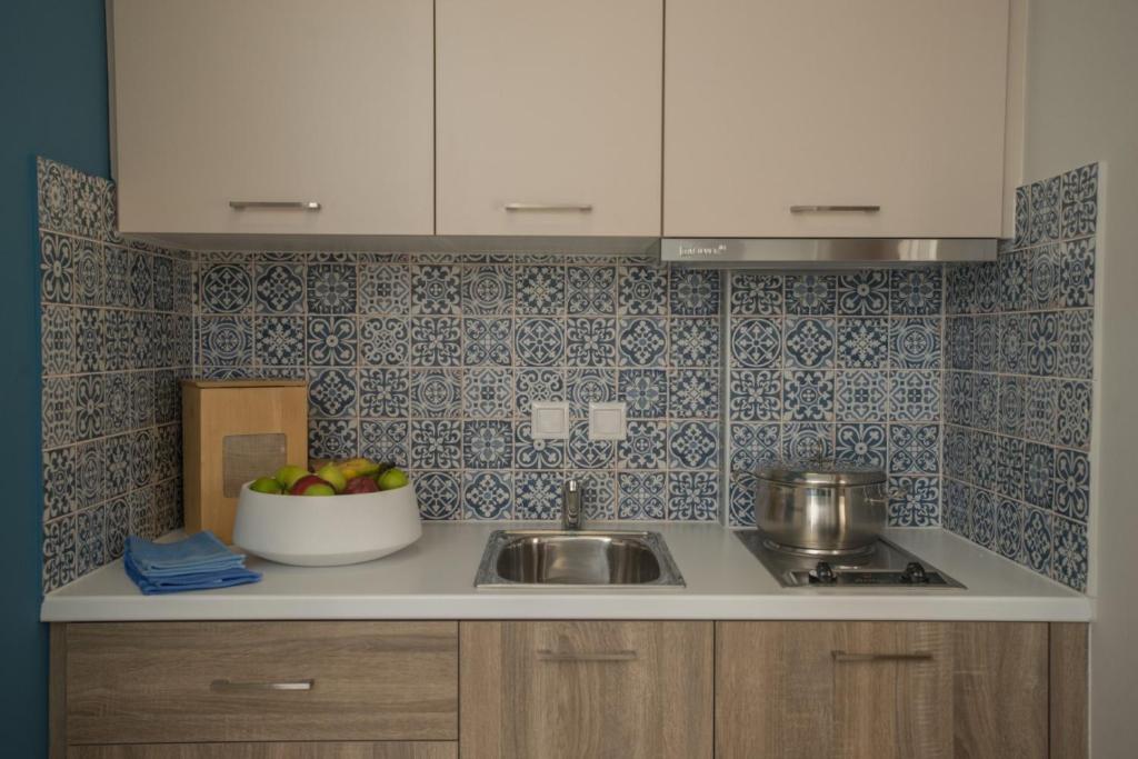 Kuchyň nebo kuchyňský kout v ubytování Athina Residence